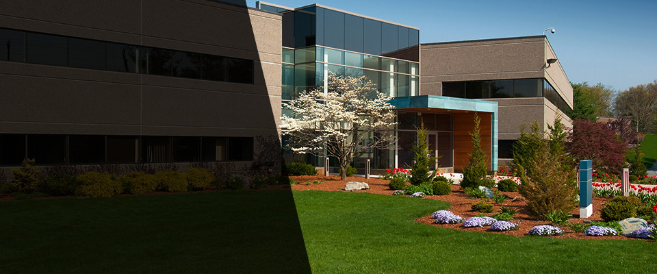 High Springs Landscapers