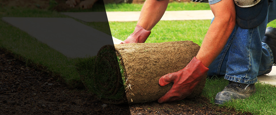 High Springs Landscapers